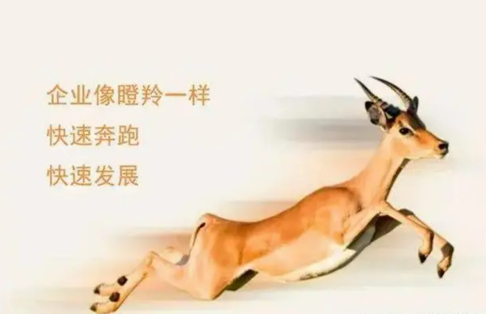 A252 A252.png